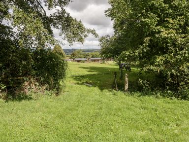 A grassy field with trees on both sides and buildings in the distance at Primrose in Sticklinch West Pennard Glastonbury