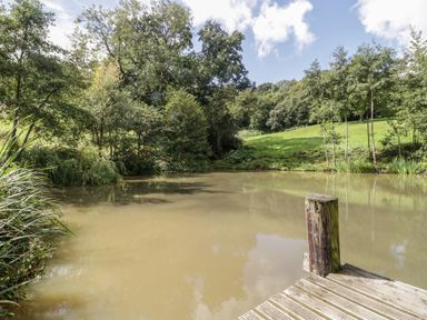 A small pond with trees and grass surrounding it and a wooden dock in the foreground at Primrose in Sticklinch West Pennard Glastonbury
