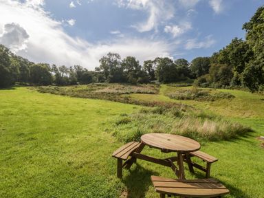 A wooden picnic table on a grassy area with trees and bushes in the background at Primrose Sticklinch West Pennard Glastonbury