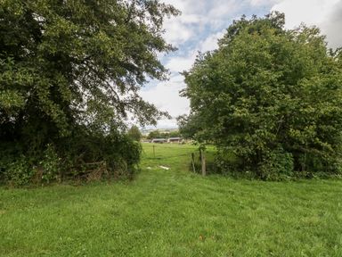 A grassy path through trees leading to a fenced field with horses at Primrose in Sticklinch West Pennard Glastonbury