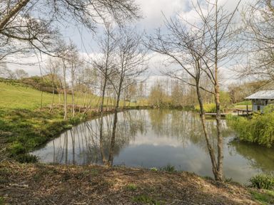 A pond surrounded by trees and grassy fields with a small building and wooden deck at Primrose in Sticklinch West Pennard Glastonbury