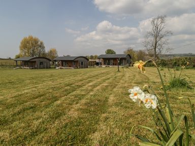 Three small wooden cabins on a mowed grassy field with flowers in the foreground and trees in the background at Primrose in Sticklinch West Pennard Glastonbury