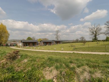 A rural scene with three wooden cabins along a curved gravel path surrounded by grassy fields and trees at Primrose in Sticklinch West Pennard Glastonbury