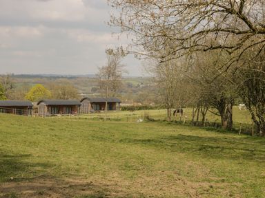 A grassy field with three wooden cabins and trees at Primrose in Sticklinch West Pennard Glastonbury