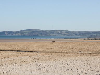 A sandy beach with a dog walking and hills across the water at Bay View in Benllech