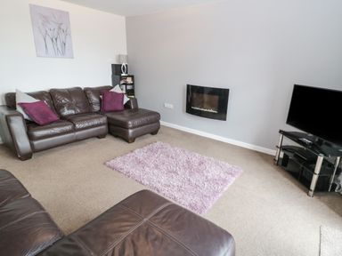 A living room with brown leather sofas a purple rug a wall-mounted fireplace and a television on a glass stand at Bay View in Benllech