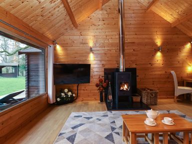 A living area with a wood stove fireplace a wall-mounted TV and a coffee table with teacups in a wooden cabin at Woodpeckers in Willand