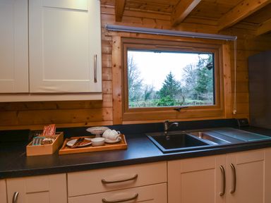 A kitchen counter with a sink and cabinets under a window showing outdoor trees at Woodpeckers in Willand