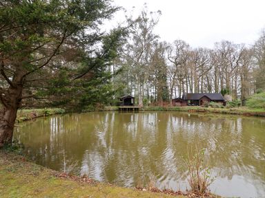 A pond with ducks surrounded by trees and a wooden cabin with a deck at Woodpeckers in Willand