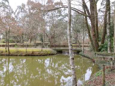 A pond with trees and a small wooden bridge with signs for Woodpeckers and Kingfishers at Woodpeckers in Willand