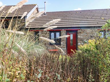 A cottage with a red door and windows surrounded by plants at Farmhand Cottage near Narberth