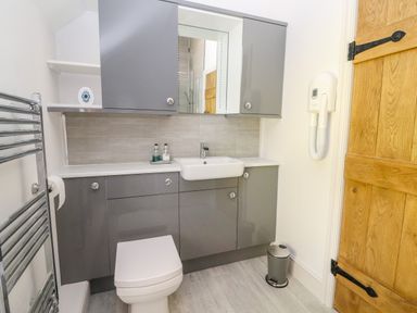A bathroom with grey cabinets a white sink and toilet a wooden door and a wall-mounted hair dryer at The Old Coach House in Llanarmon-Yn-Ial