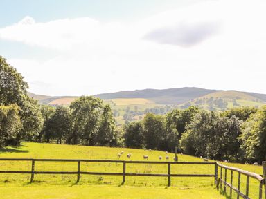 A fenced grassy field with sheep and trees with hills in the background at The Old Coach House in Llanarmon-Yn-Ial