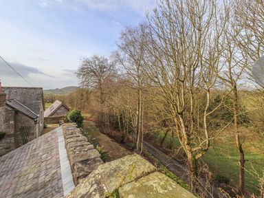 A view of rooftops and leafless trees along a narrow road at The Old Coach House in Llanarmon-Yn-Ial