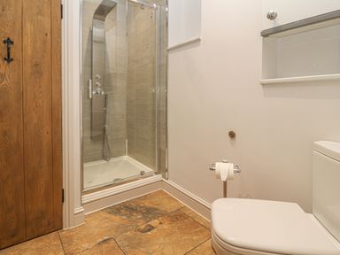 A bathroom with a shower cubicle toilet and wooden door at The Old Coach House in Llanarmon-Yn-Ial