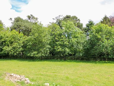 A grassy field with a pile of rocks and trees along a wooden fence at The Old White Cottage in Shillelagh County Wicklow
