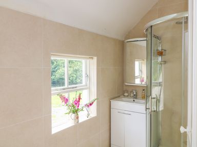 A bathroom with a window showing flowers on the sill a shower cubicle and a sink unit with a mirror at The Old White Cottage in Shillelagh County Wicklow