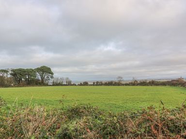 A green field with bushes in the foreground and trees in the background under a cloudy sky