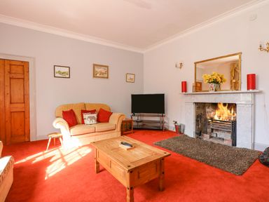 A living room with a beige sofa red cushions wooden coffee table fireplace with fire and a television at Southrepps Lodge in Southrepps