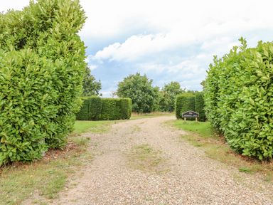 A gravel pathway lined with large bushes and trees at Southrepps Lodge in Southrepps
