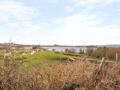 A grassy field with sheep near a lake with hills in the background at Ellens Cottage in Mount Charles County Donegal