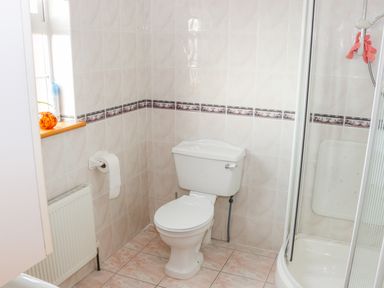 A bathroom with a toilet a shower and a window with a small orange glass object at Ellens Cottage in Mount Charles County Donegal