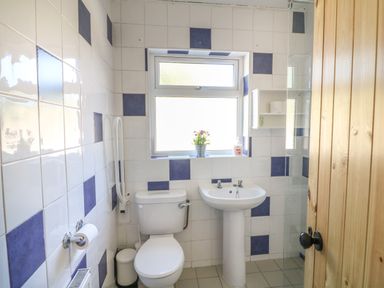 A bathroom with a toilet sink small window and wooden door at Macreddin Rock Holiday Cottage Macreddin Aughrim County Wicklow