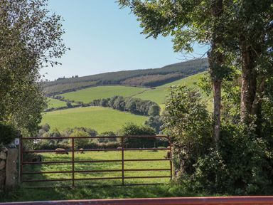 A red metal gate opening to green fields with sheep and trees on a hillside at Macreddin Rock Holiday Cottage Macreddin Aughrim County Wicklow