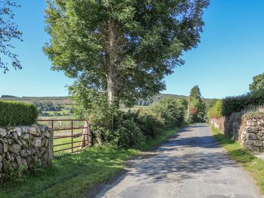 A country road with stone walls trees and a metal gate at Macreddin Rock Holiday Cottage Macreddin Aughrim County Wicklow