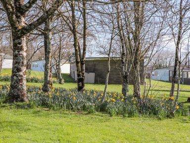 An outdoor area with trees and yellow flowers in front of small buildings at The Borrowers in Dartmouth