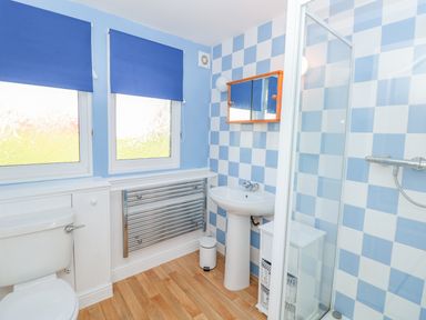 A bathroom with a toilet sink shower and blue checkered tiled walls at The Borrowers in Dartmouth