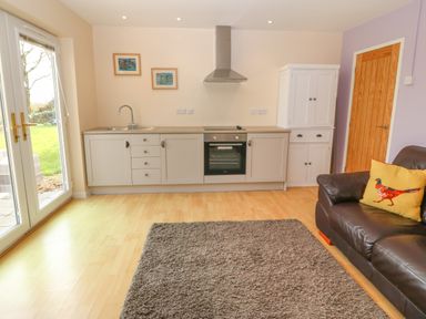 A kitchen area with cabinets oven and sink next to a brown leather sofa with a cushion and a gray rug on the floor at Plas Marchog Annexe in Rhoscefnhir near Pentraeth