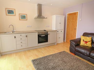 A kitchen area with cabinets a stove and oven a white cupboard a brown door and a brown leather sofa with a yellow bird pillow at Plas Marchog Annexe in Rhoscefnhir near Pentraeth