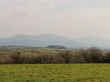 A grassy field with trees and hills in the distance at Plas Marchog Annexe in Rhoscefnhir near Pentraeth