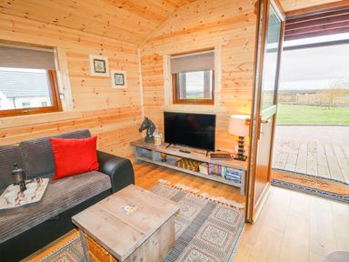 A living area with a sofa a television on a stand a wooden coffee table and an open door leading outside at Alken Cabin in Bushmills County Antrim