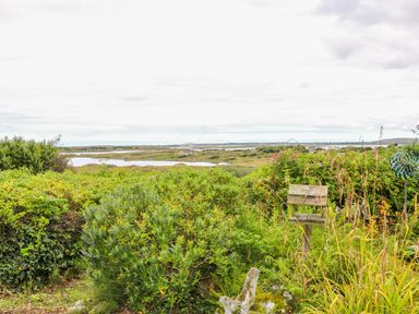 A garden with various green plants and bushes overlooking a body of water and landscape at The Mermaid in Dungloe County Donegal