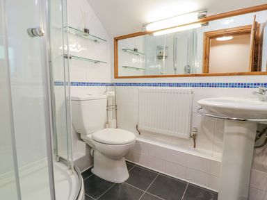 A bathroom with a toilet sink shower radiator and a large mirror at Llety Perygl in Harlech