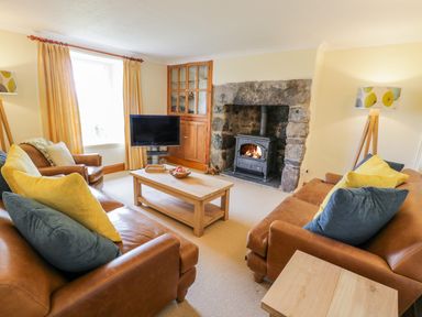 A living room with brown leather sofas with yellow and blue cushions a wood stove in a stone fireplace a wooden coffee table a television and light curtains at Llety Perygl in Harlech
