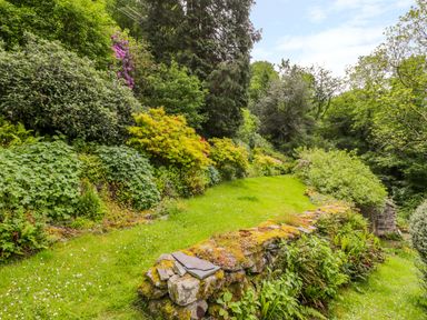 A garden with green grass bushes trees and a mossy stone wall at Llety Perygl in Harlech
