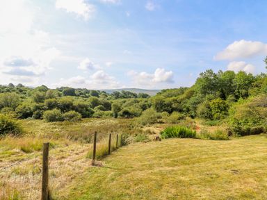 An outdoor scene with grass, a wire fence, bushes, trees, and hills under a blue sky at Plasybangor in Newport Pembrokeshire