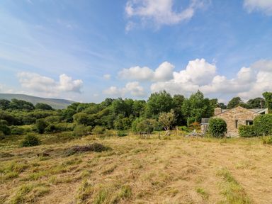 A field with dry grass trees and a stone house at Plasybangor in Newport Pembrokeshire