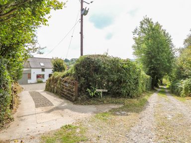 A gravel driveway leading to a white house with a metal gate and hedges at Plasybangor in Newport Pembrokeshire