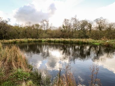 A small pond surrounded by grass and trees at Plasybangor in Newport Pembrokeshire