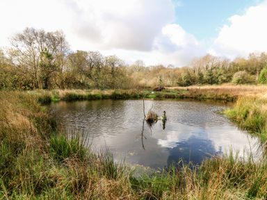 A small pond surrounded by grass and trees under a partly cloudy sky at Plasybangor in Newport Pembrokeshire
