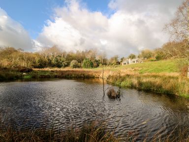 A small pond surrounded by grass and trees with a house on a hill in the background at Plasybangor in Newport Pembrokeshire