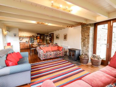 A living room with sofas a colorful striped rug wood stove and baskets of firewood at Plasybangor in Newport Pembrokeshire