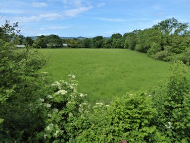 A grassy field surrounded by trees and bushes under a blue sky at Mendip Cottage in Shipham
