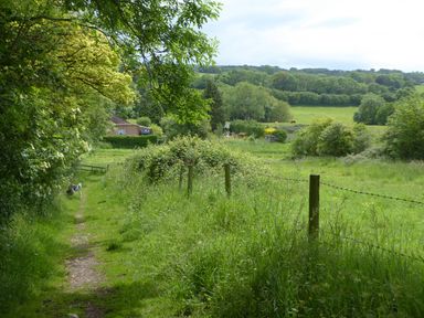 A country path bordered by grass and trees with a dog walking on it and fields in the background at Mendip Cottage in Shipham