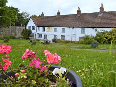 White building with multiple chimneys and picnic tables in front surrounded by green grass and flowers at Mendip Cottage in Shipham