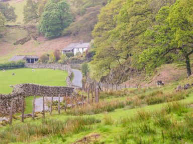 A rural landscape with a winding road stone walls a farmhouse trees and grazing sheep at Tilberthwaite Farm Cottage in Coniston